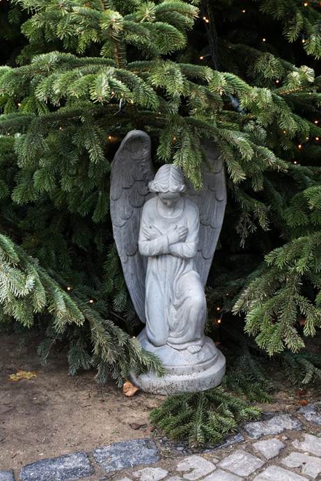 屋外, 工場, 針葉樹, 岩 が含まれている画像
AI 生成コンテンツは誤りを含む可能性があります。