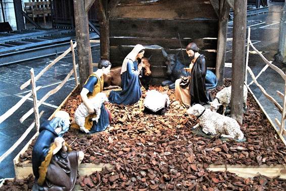 屋外, 建物, フェンス, 哺乳類 が含まれている画像
AI 生成コンテンツは誤りを含む可能性があります。