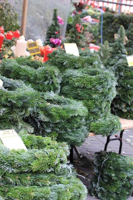 工場, ガーデン, 針葉樹, ブロッコリー が含まれている画像
AI 生成コンテンツは誤りを含む可能性があります。