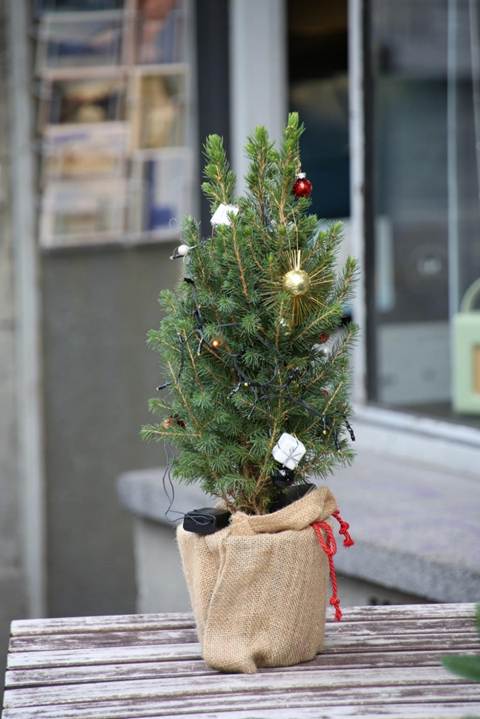 建物の前の花瓶に入った花
AI 生成コンテンツは誤りを含む可能性があります。