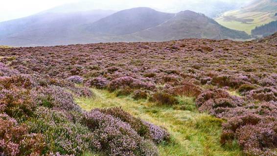 草の上にある山
AI 生成コンテンツは誤りを含む可能性があります。