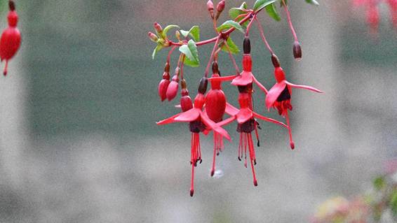 子供, 草, 座る, 小さい が含まれている画像
AI 生成コンテンツは誤りを含む可能性があります。